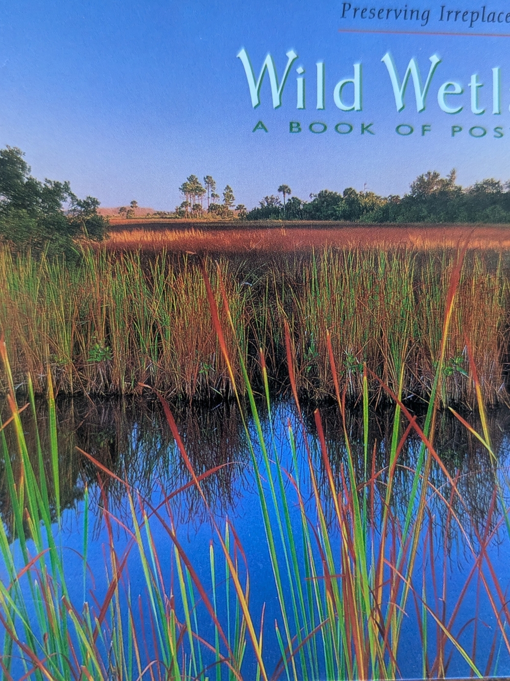 Sierra Clubs Wild Wetlands A Book Of postcards